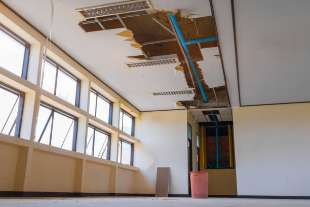 Best Water damage restoration cost  in La Ada Flintridge, CA