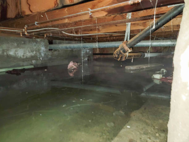 Best 24/7 water damage repair  in La Ada Flintridge, CA