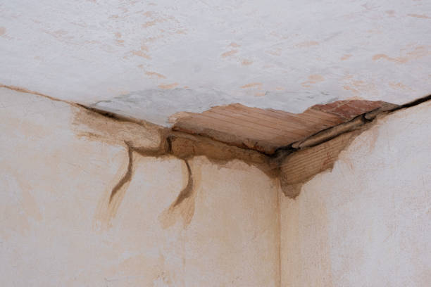 Best Professional water damage repair  in La Ada Flintridge, CA