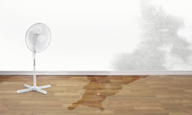Best 24-hour water damage restoration  in La Ada Flintridge, CA