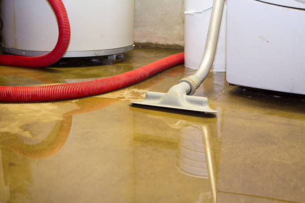 Best Mold removal after water damage  in La Ada Flintridge, CA