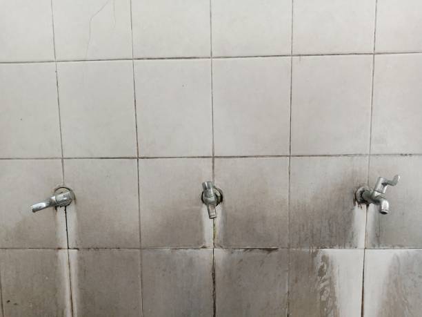 Best Water damage restoration company  in La Ada Flintridge, CA