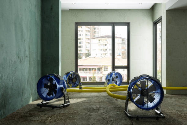 Best Water damage restoration near me  in La Ada Flintridge, CA